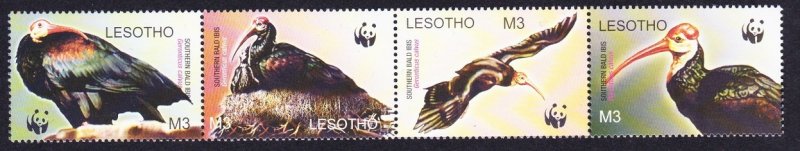 Lesotho WWF Southern Bald Ibis Birds Strip of 4v head right 2004 MNH