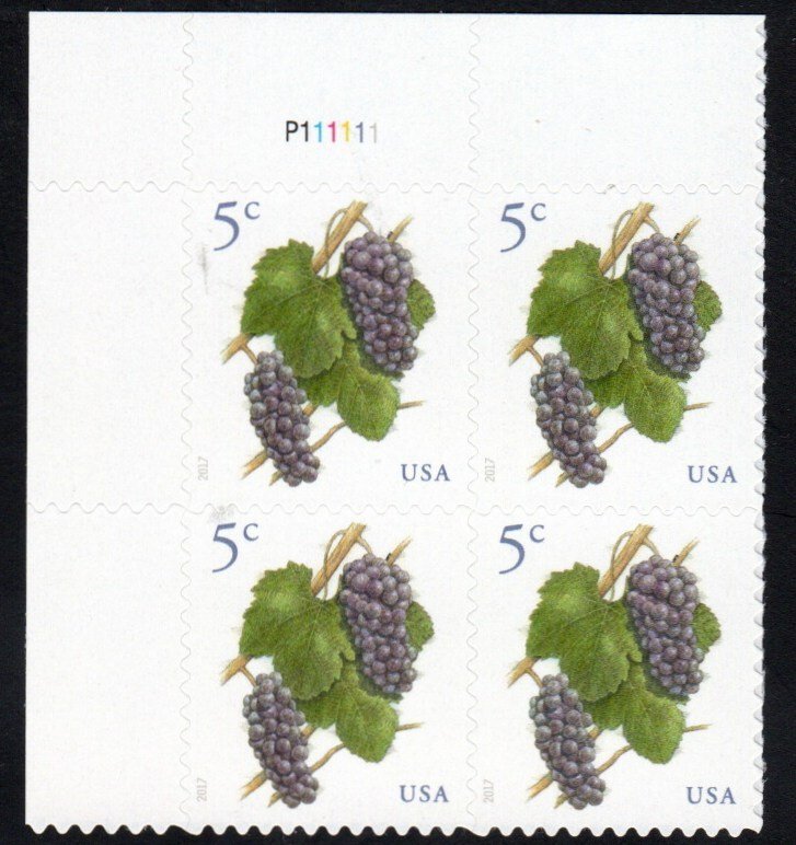 SC# 5177 - (5c) - Pinot Noir Grapes, MNH Plate Block