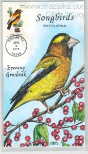 2014 COLLINS HANDPAINTED BIRDS SONGBIRDS GORGEOUS COLOR EVENING GROSBEAK