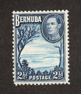 Bermuda - SG# 113 MH (rem)        /        Lot 0724151