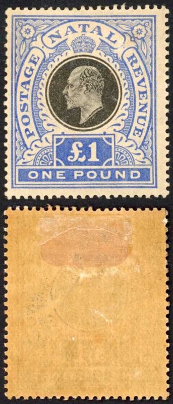Natal SG142 One Pound Postage Revenue Cat 350 pounds M/M (Toned)