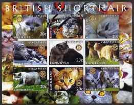 Kyrgyzstan 2004 Domestic Cats - British Shorthair imperf ...