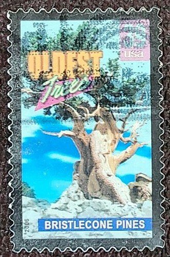 US Scott # 4049; used 39c Wonders of America from 2006; VF centering; off paper