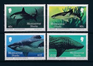 [49503] Montserrat 1987 Marine life Sharks MNH
