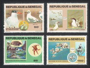 Senegal Terns Gulls Cormorant Birds Turtle Crab National Parks 4v 1981 MNH