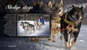 Liberia - 2020 Siberian Husky Sledge Dog - Stamp Souvenir Sheet - LIB200525b2