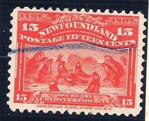 Newfoundland 70, Used - Seals