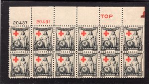 702 Red Cross, MNH Top PB/12, #20437/20491