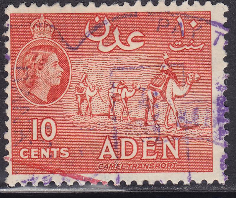 Aden 49a Camel Transport 1953