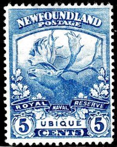 Newfoundland 119 -MNG - no gum