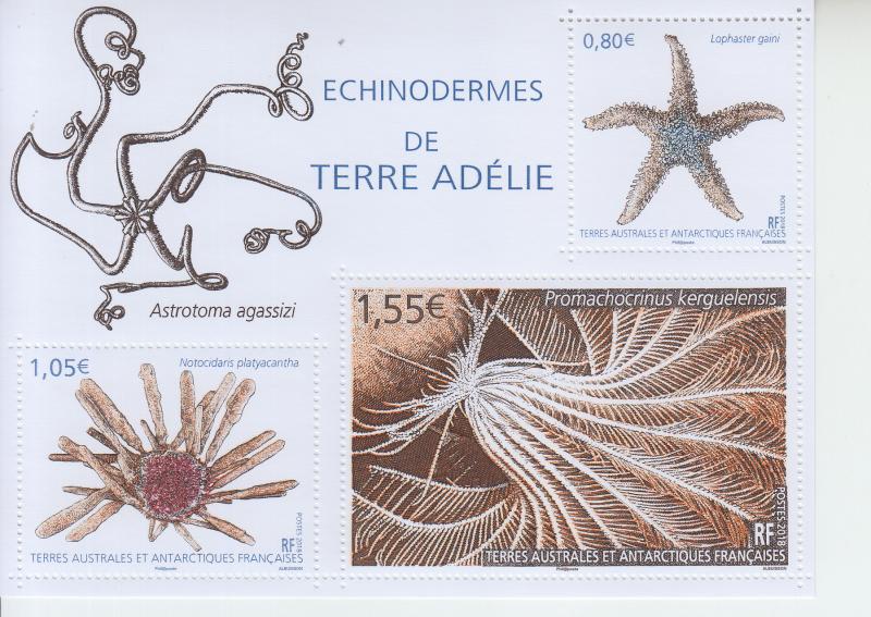 2018 FSAT Fr Antarctic Echinoderms of Terre-Adelie SS (Scott 589) MNH