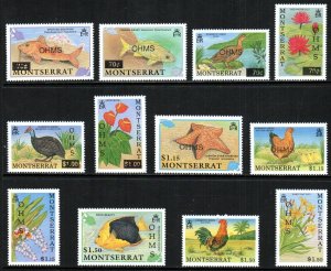 Montserrat Stamp O98-O109  - Surcharges and OP for official use