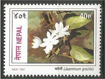 NEPAL, 1997, MNH 40p, Flowers Scott 620