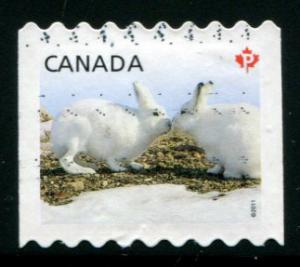 2426 Canada P Arctic Hare, used