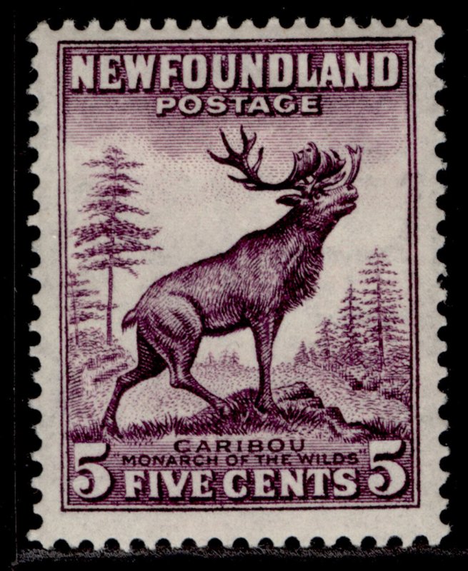 CANADA - Newfoundland GV SG213, 5c maroon, M MINT. Cat £10.