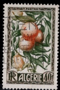 ALGERIA Scott 231 Used 1950 Lemon Tree stamp