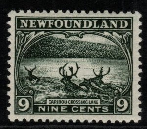 NEWFOUNDLAND SG156 1923 9c SLATE-GREEN MTD MINT