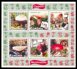 Romania 2008 Mushrooms Scott #5017a Mint Never Hinged
