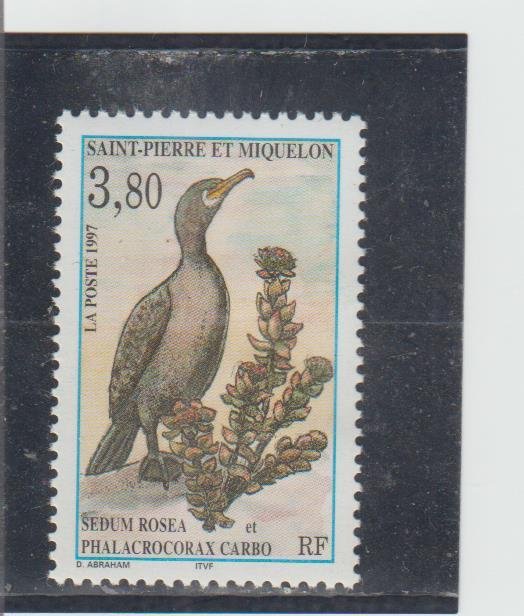 St. Pierre & Miquelon  Scott#  635  MH  (1997 Great Cormorant)