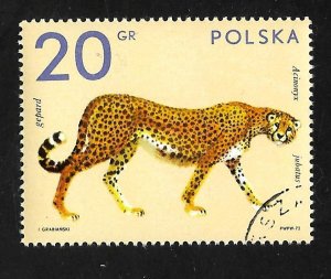 Poland 1972 - U - Scott #1888