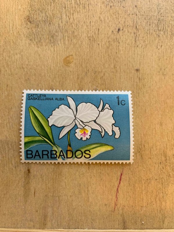 Barbados 396