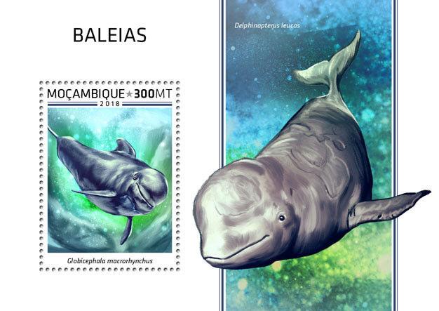 Z08 MOZ18515b MOZAMBIQUE 2018 Whales MNH ** Postfrisch