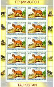 Tajikistan 1996 WWF Pallas Cats Mini Sheet Perforated Mint (NH)