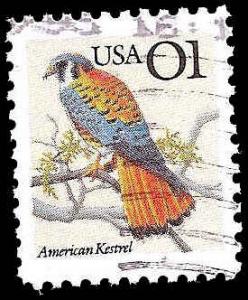 # 2476 USED KESTREL