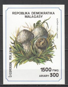 B1043 Imperf 1990 Madagascar Malagasy Plants Mushrooms 1Bl Mnh