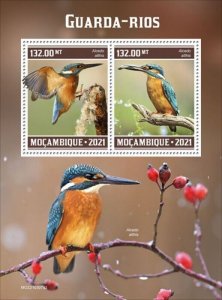 Mozambique - 2021 Common Kingfisher Birds - 2 Stamp Souvenir Sheet - MOZ210307a2