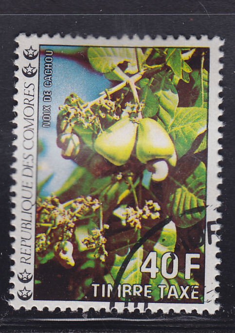 Comoro Islands J13 Flowers 1977