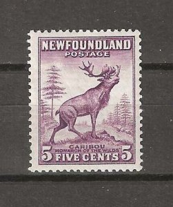 CANADA/NEWFOUNDLAND 1941/44 SG280 MINT Cat £180