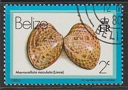 1980 Belize - Sc 472 - used VF - Macrocallista Maculata