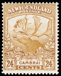 NEWFOUNDLAND 125  Mint (ID # 106909)