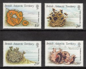 BRITISH ANTARCTIC 1989 Lichens; Scott 149-52, SG 167-70; MNH