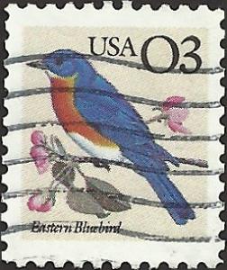 # 2478 USED EASTERN BLUEBIRD