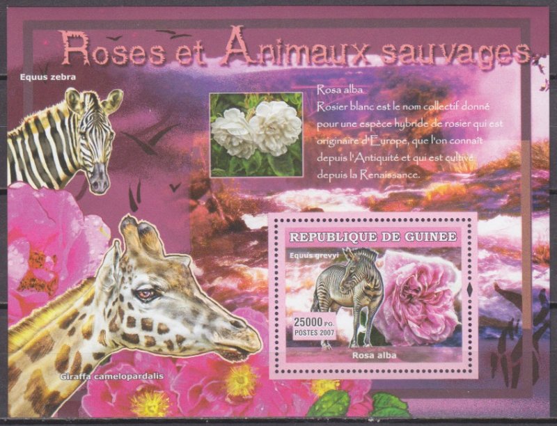 2007 Guinea 4729/B1175 Rose and zebra 7,00 €