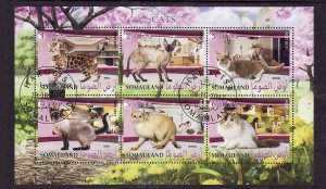 Somaliland-used sheet-Animals-Cats--Munchkin-2017-