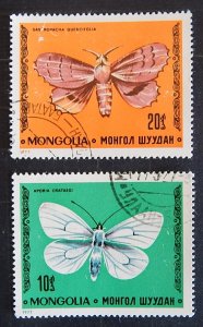 Butterflies, (2317-T)