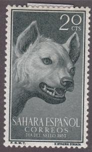 Spanish Sahara 88  Striped Hyena 1956