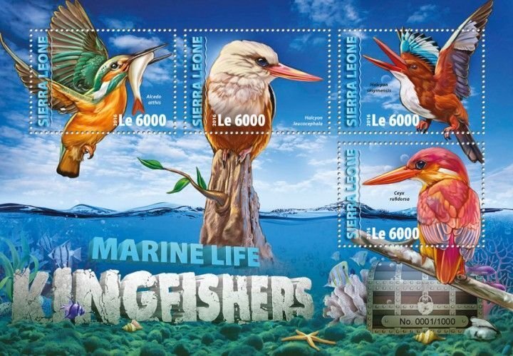 Sierra Leone MNH S/S Kingfisher Birds 2016 4 Stamps