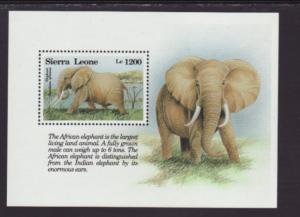 Sierra Leone Elephant 1656 Souvenir Sheet MNH