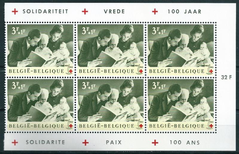 BELGIUM : R103 - 1963 (3F.+1F.) x 6 MNH pieces