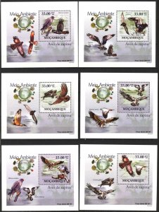 {133} Mozambique 2010 Birds of Prey 6 S/S Deluxe MNH**