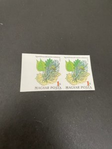 Hungary sc 2450 MNH Imperf  pair