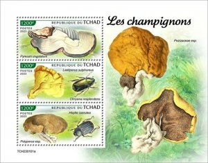 Chad - 2023 Mushrooms & Insects, Beetle - 3 Stamp Sheet - TCH230101a