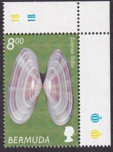 2002-03 Bermuda Sunrise Tellin sea shell $8.00 issue MLH Sc# 854 CV $17.00