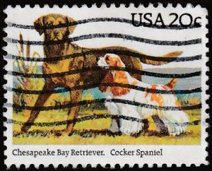 # 2099 USED RETRIEVER AND COCKER SPANIEL