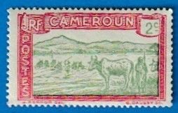 CAMEROON SCOTT#171 1925 CATTLE CROSSING A RIVER - MH
