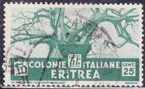 Eritrea 162 Baobab Tree 1934